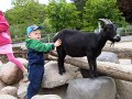 zoologisk have med Kasper maj 08 014